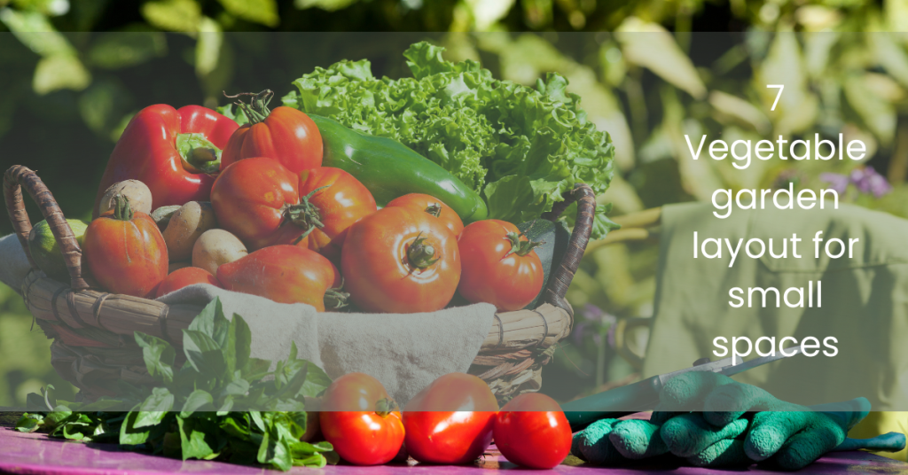 beginner basic vegetable garden layout​ | vegetable garden layout ideas | backyard vegetable garden layout | What is the basic layout of a vegetable garden? | What garden layout is most efficient? | How do you layout a vegetable garden?